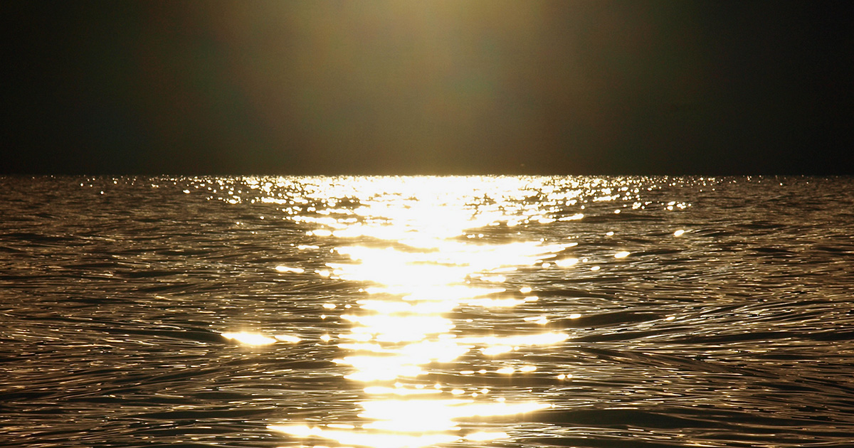 長山周平 | ショートリスト入賞 